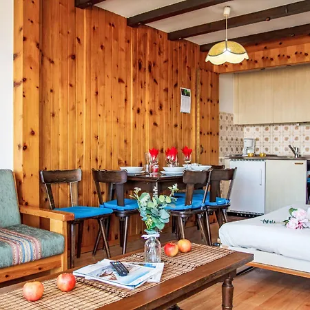 Christiania 2 O3 By Interhome شقة نينداز